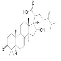 猪苓酸C465-18-9