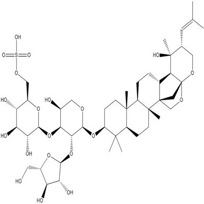 假马齿苋皂苷I382148-47-2