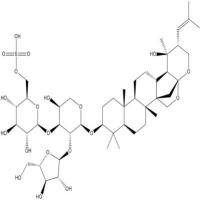 假马齿苋皂苷I382148-47-2