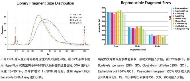 KAPA Hyper Plus Kit (Illumina,