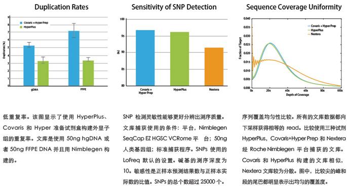 KAPA Hyper Plus Kit (Illumina,