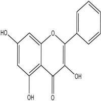 高良姜素分析对照品548-83-4