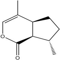 荆芥内酯21651-62-7