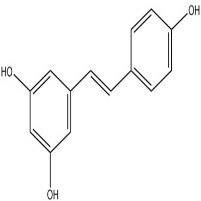 白藜芦醇分析对照品501-36-0