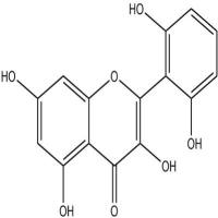 粘毛黄芩素Ⅰ92519-95-4