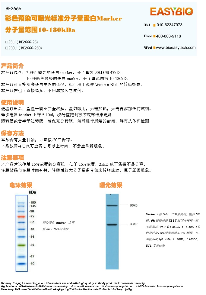 产品细节图片2