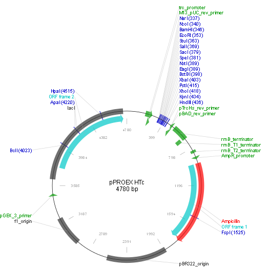 pProEX-HTc产品信息
