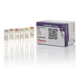 Phusion Blood Direct PCR Kit