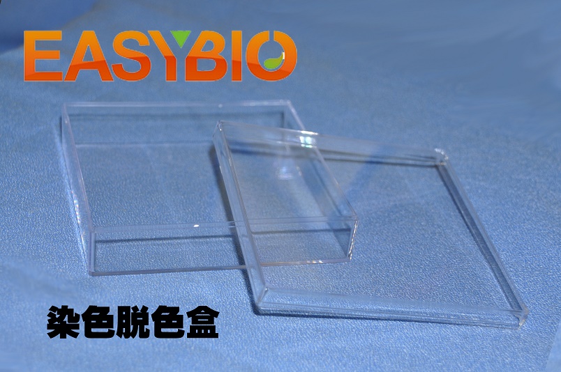 染色脱色盒 10*10cm