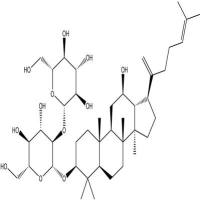 人参皂苷Rk1494753-69-4