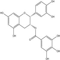 表儿茶素没食子酸酯分析对照品1257-08-5