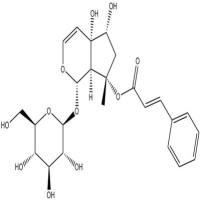 哈巴俄苷分析对照品19210-12-9