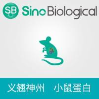 Recombinant Mouse LIF Protein (His Tag) | 重组小鼠 LIF 蛋白 (His标签)