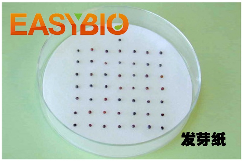圆形种子发芽纸 培养皿萌发纸