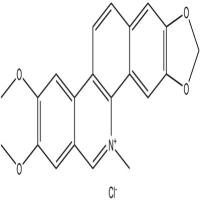 氯化两面针碱分析对照品13063-04-2