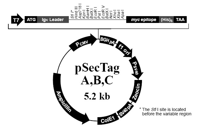 pSecTag B产品信息