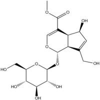 去乙酰车叶草酸甲酯分析对照品52613-28-2