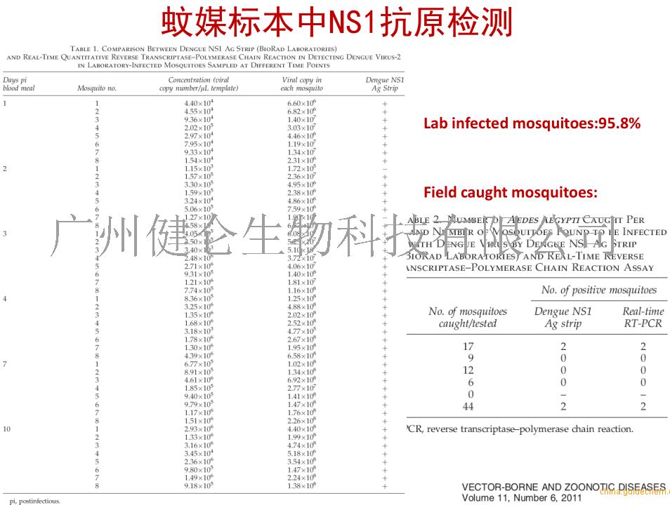 Panbio登革热NS1抗原检测试剂盒 Panbio登革热试