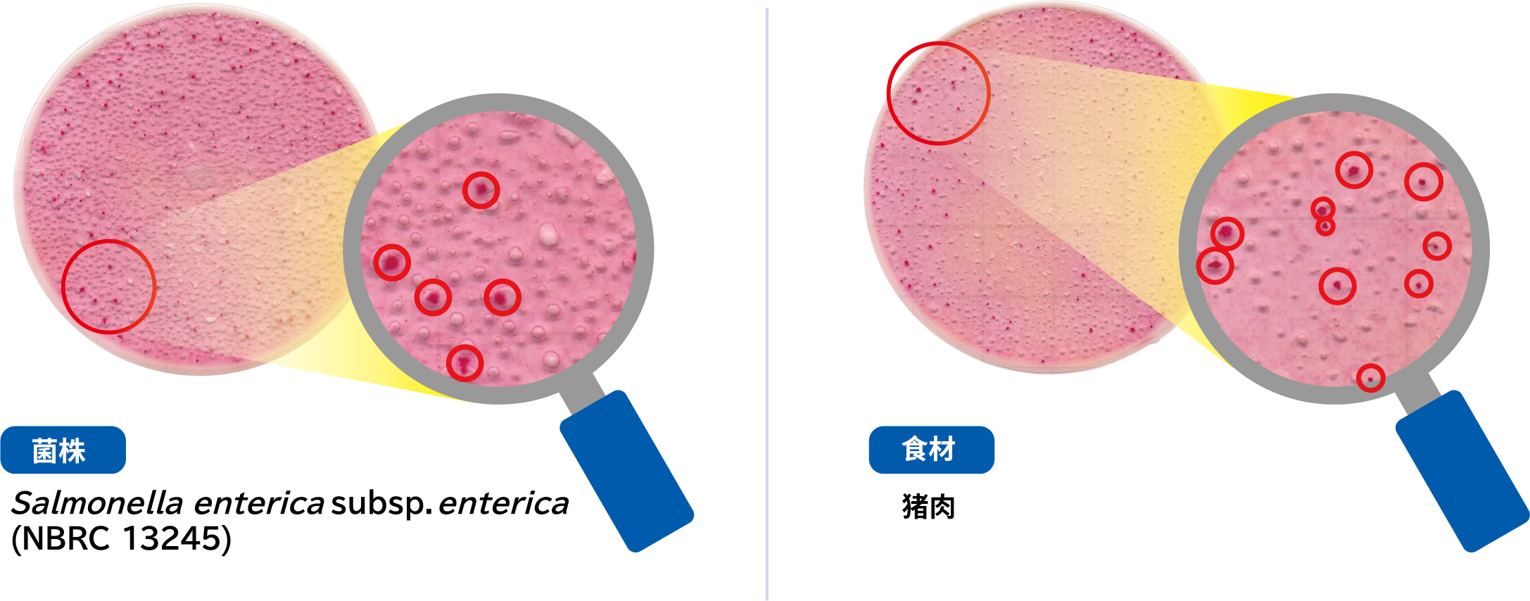 1217129067777007.jpg 1217129067777007.jpg