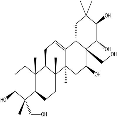 匙羹藤新苷元22467-07-8