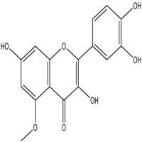 杜鹃黄素529-51-1
