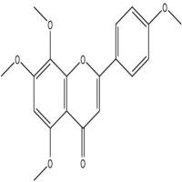 6-去甲氧基橘皮素6601-66-7