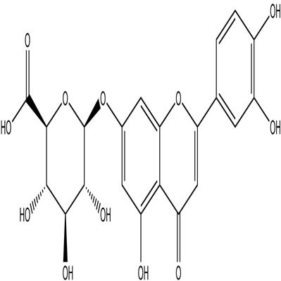 木犀草素-7-葡萄糖醛酸苷29741-10-4