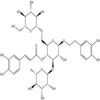 松果菊苷分析对照品82854-37-3