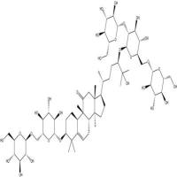 11-氧-罗汉果苷V126105-11-1