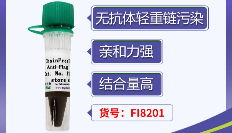 【实用】有效解决Co-IP实验抗体轻重链污染方法