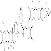 桔梗皂苷D分析对照品58479-68-8