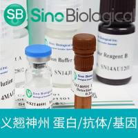 PD-L1 / B7-H1 / CD274 Blocking Antibody | PD-L1 / B7-H1 / CD274 封闭抗体