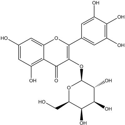 杨梅素-3-O-半乳糖苷15648-86-9