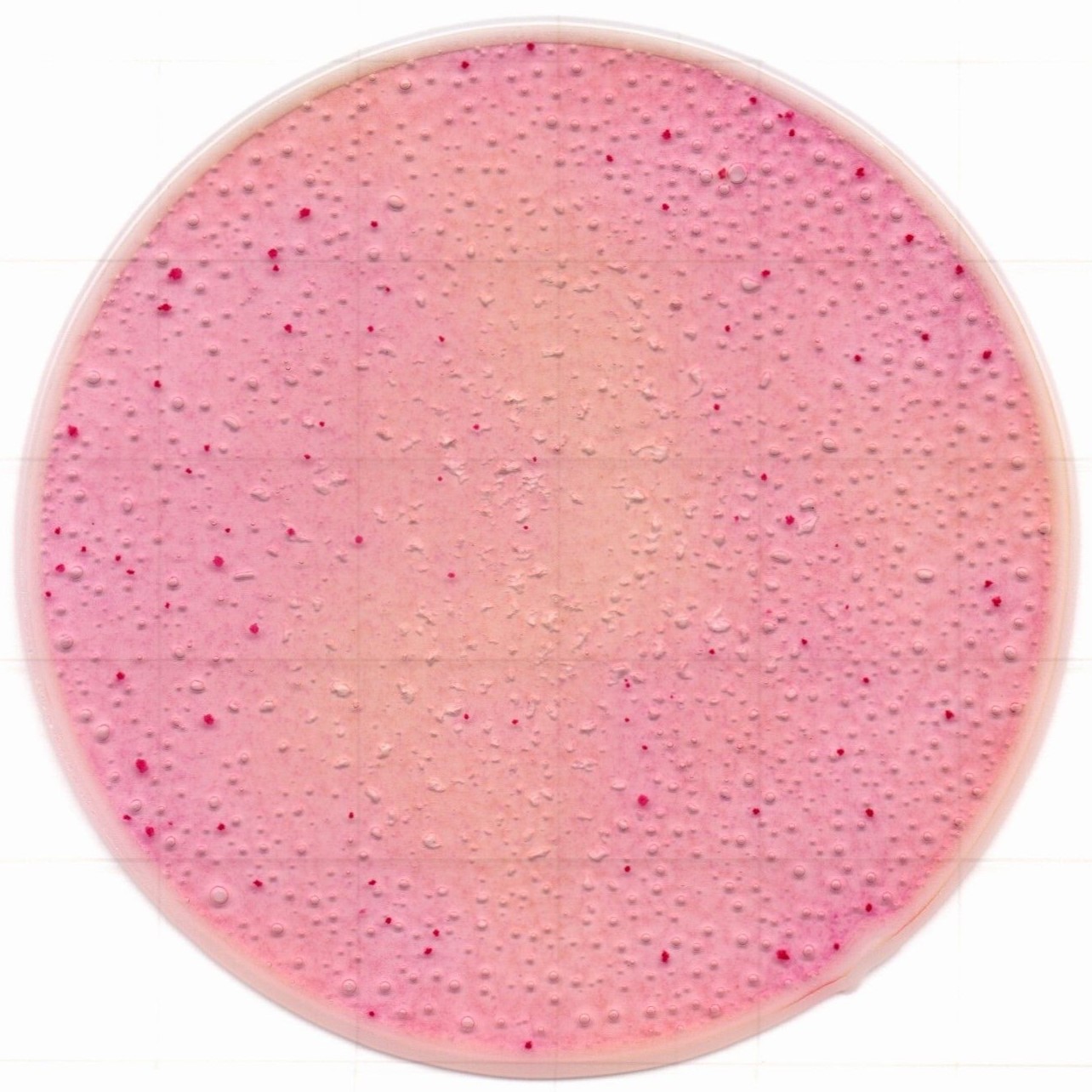 1217129075822598.jpg 1217129075822598.jpg