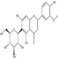 异金雀花素20013-23-4