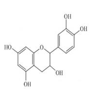 儿茶素分析对照品7295-85-4