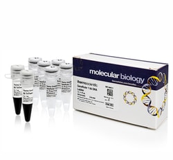 GeneRuler 100 bp DNA Ladder