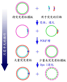 产品细节图片1