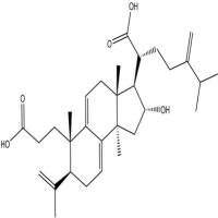 茯苓酸A137551-38-3
