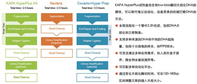KAPA Hyper Plus Kit (Illumina,