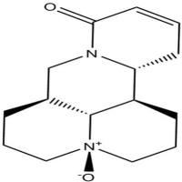 氧化槐果碱26904-64-3