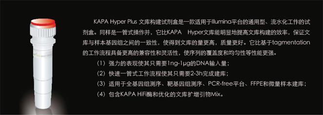 KAPA Hyper Plus Kit (Illumina,
