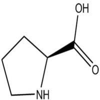 脯氨酸分析对照品147-85-3