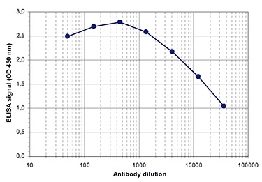 CCDC101 Antibody (OADC00034) in Mouse Dnmt2 using ELISA