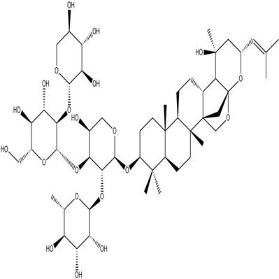 酸枣仁皂苷B分析对照品55466-05-2