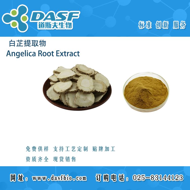 白芷提取物/Angelica Root Extract/白芷提取物 固体饮料原料 水溶性 食品级 提取物代加工 