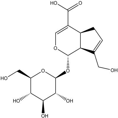 京尼平苷酸分析对照品27741-01-1