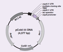 pColdIII产品信息