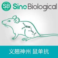 Anti-Myc Tag Antibody, Mouse MAb | 抗 Myc 标签 鼠单抗