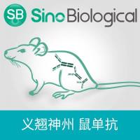 EHEC stx2B / Shiga toxin II subunit B, Mouse MAb | 肠出血性大肠杆菌 (EHEC) stx2B / Shiga toxin II subunit B 鼠单抗